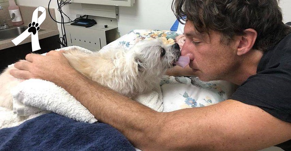 El devastado actor Zach Braff se despide de su amado perrito 17 años después de haberlo adoptado