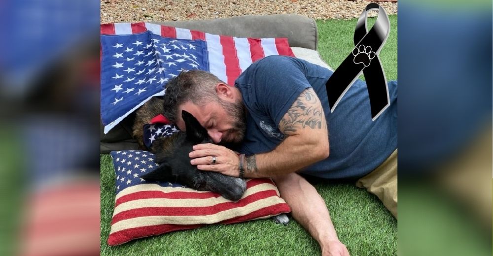 Un exmarino despide en un sentido homenaje a su fiel perro tras 15 años juntos en la guerra