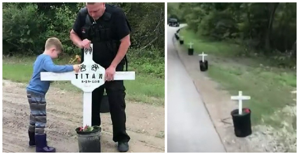Más de 400 cruces con nombres de perritos en una carretera conmocionan a los vecinos Más de 400 cruces con nombres de perritos en una carretera conmocionan a los vecinos