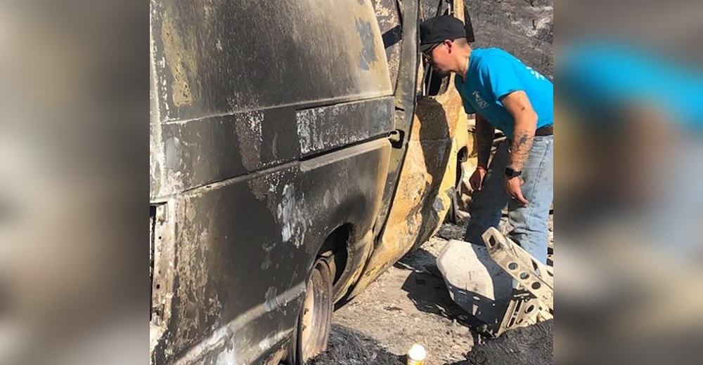 Tres gatitos huyen despavoridos en un incendio, luego ven su único refugio posible chamuscado Tres gatitos huyen despavoridos en un incendio, luego ven su único refugio posible chamuscado