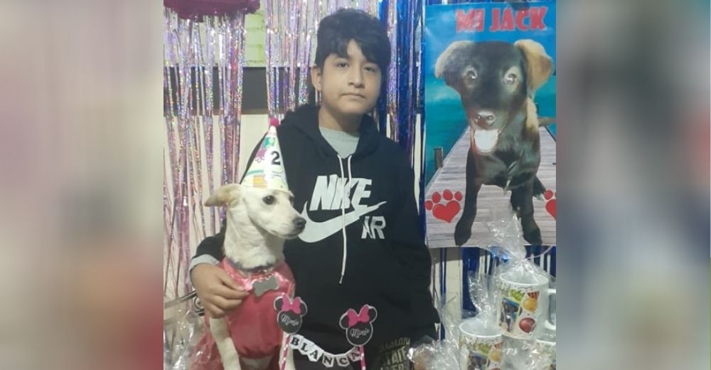 Devastada familia no pierde la esperanza y celebra el cumpleaños de su perrito desaparecido
