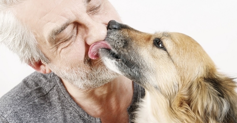 ¿Eres de los que permite que tu perro te bese? Aquí tienes 8 razones para seguir haciéndolo