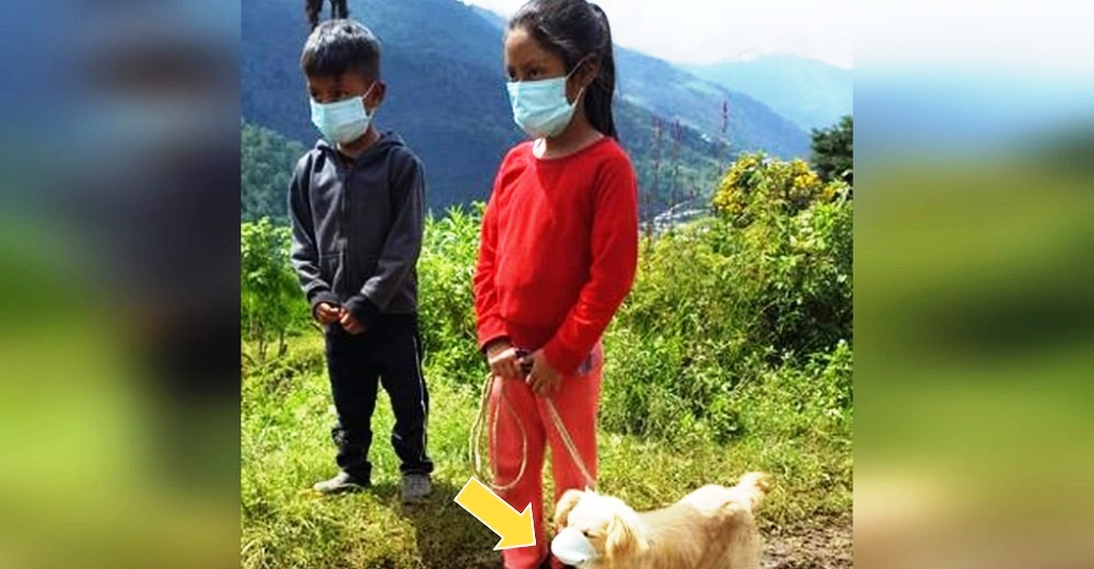 Señalan a un par de inocentes niños que llevaron a su perrito a vacunar con mascarilla