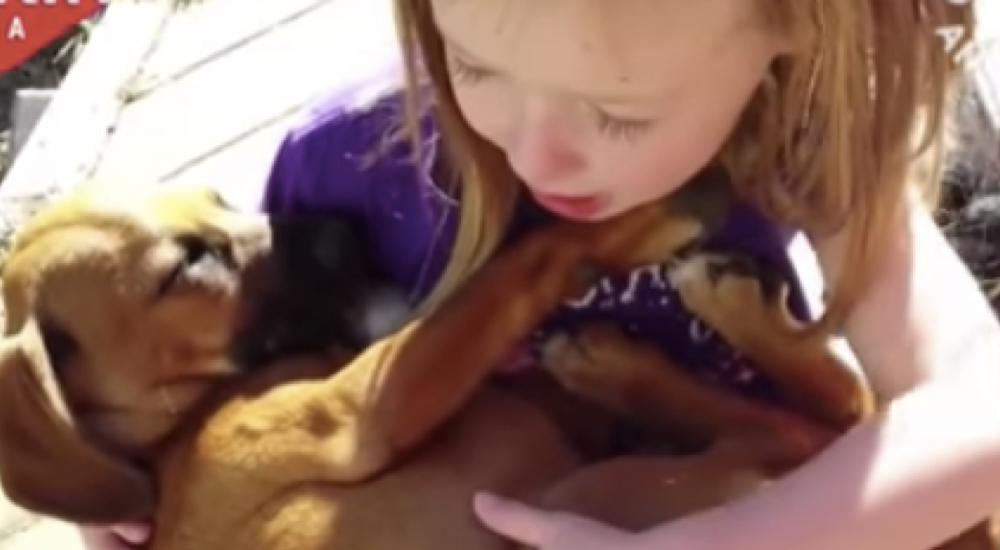 Graban a una pequeña mientras canta a su «bebé» una canción de cuna y el perrito responde Graban a una pequeña mientras canta a su «bebé» una canción de cuna y el perrito responde
