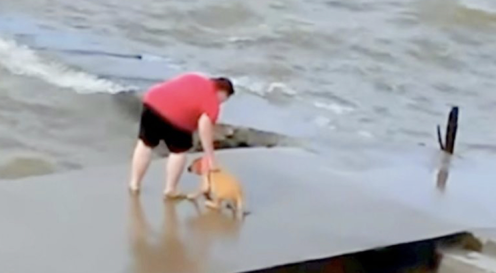 Graban a una mujer arrojando tres veces a su perro a un lago helado – «Lo entreno para que nade» Graban a una mujer arrojando tres veces a su perro a un lago helado – «Lo entreno para que nade»