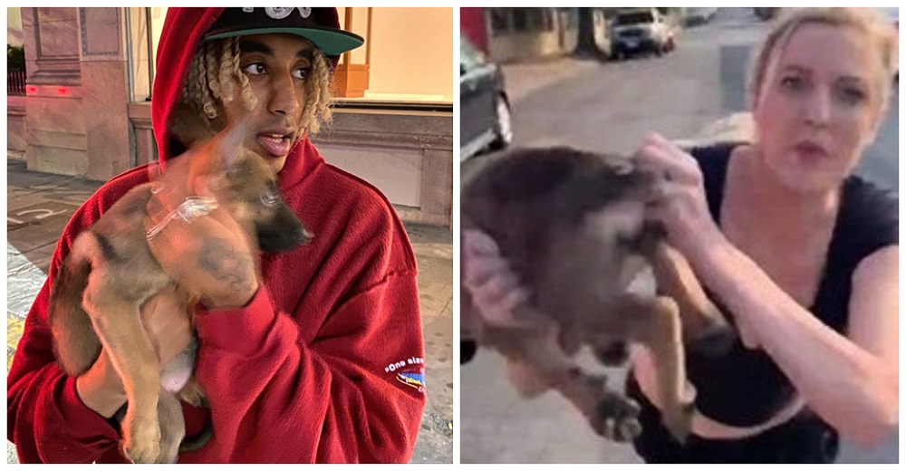 Rapero adopta a la pobre cachorrita que le lanzó su dueña en medio de un ataque racista Rapero adopta a la pobre cachorrita que le lanzó su dueña en medio de un ataque racista