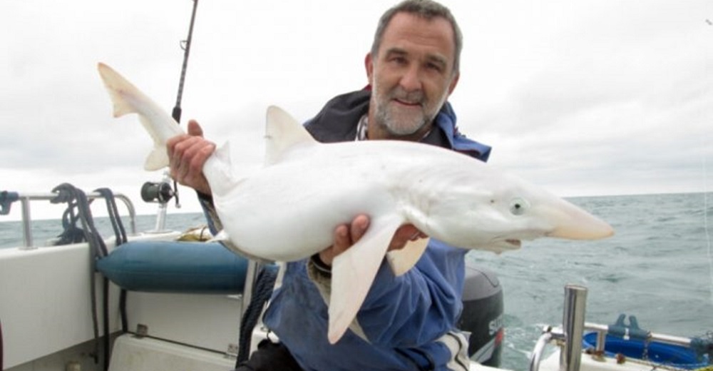 Lo señalan por atrapar un raro tiburón blanco como la nieve para presumir de él en sus redes