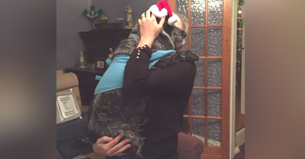 Celebran la Navidad antes de tiempo para que su perro esté con ellos por última vez
