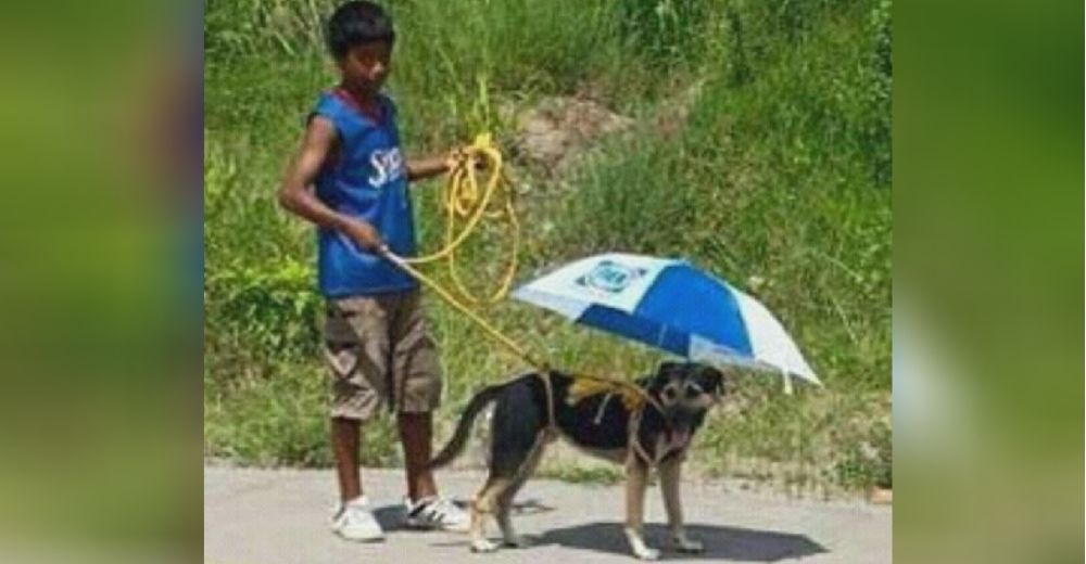 Un niño construye con sus manos una sombrilla para proteger a su perrito de los rayos del sol Un niño construye con sus manos una sombrilla para proteger a su perrito de los rayos del sol