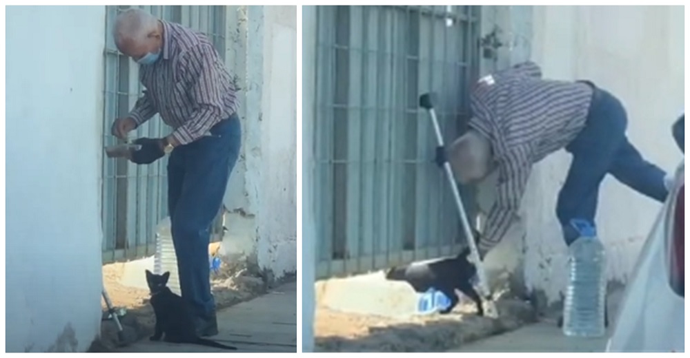 Graban a un anciano que acude todos los días a una casa abandonada donde vive una gata
