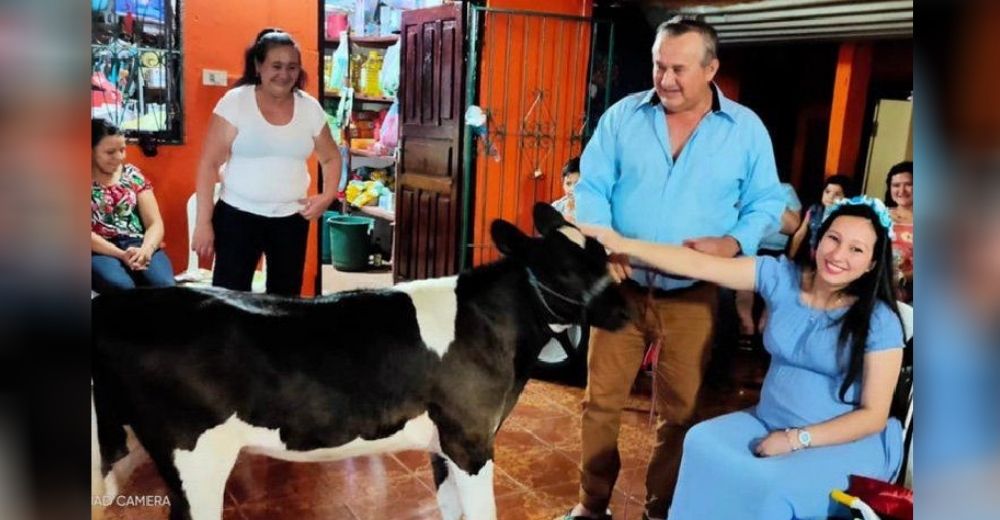 Su suegro aparece en su baby shower con una vaca para ayudar a pagar los estudios de su nieto Su suegro aparece en su baby shower con una vaca para ayudar a pagar los estudios de su nieto