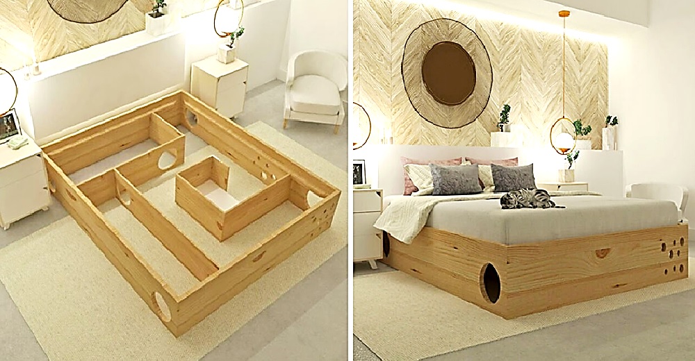 La hermosa cama diseñada para humanos y mininos causa controversia y se hace viral La hermosa cama diseñada para humanos y mininos causa controversia y se hace viral