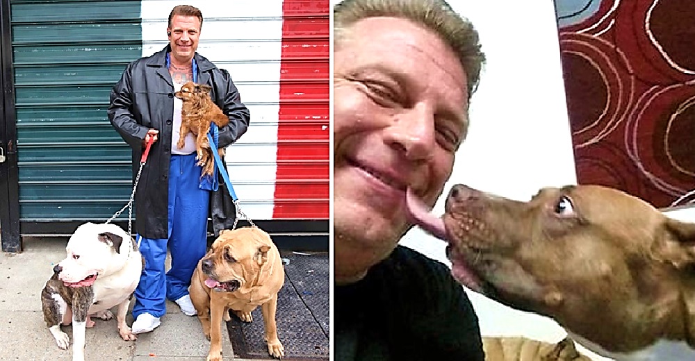 Mafioso deja atrás su oscuro pasado cuando un perrito de la calle lo mira suplicándole ayuda Mafioso deja atrás su oscuro pasado cuando un perrito de la calle lo mira suplicándole ayuda