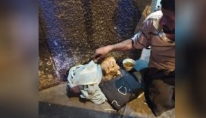 Piden ayuda para un hombre sin hogar y una perrita que fue lanzada de un auto