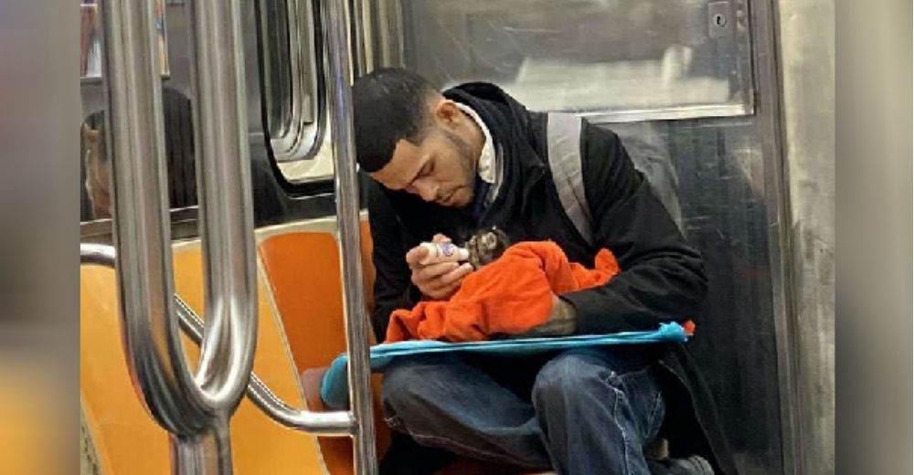 Un hombre es captado en el metro alimentando con un biberón a un indefenso gatito