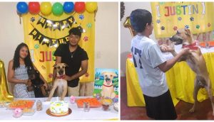 Se convierten en blanco de críticas por «despilfarrar» celebrando el cumpleaños de su perrito