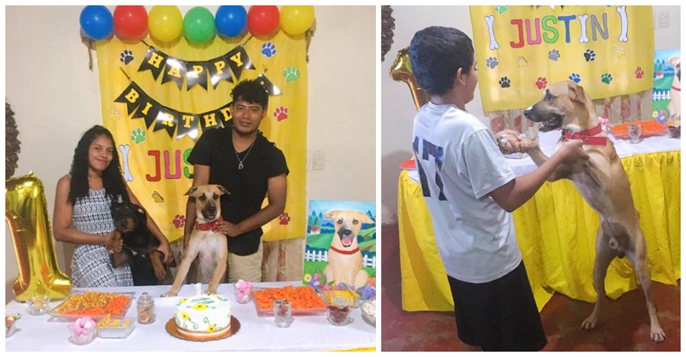 Se convierten en blanco de críticas por «despilfarrar» celebrando el cumpleaños de su perrito