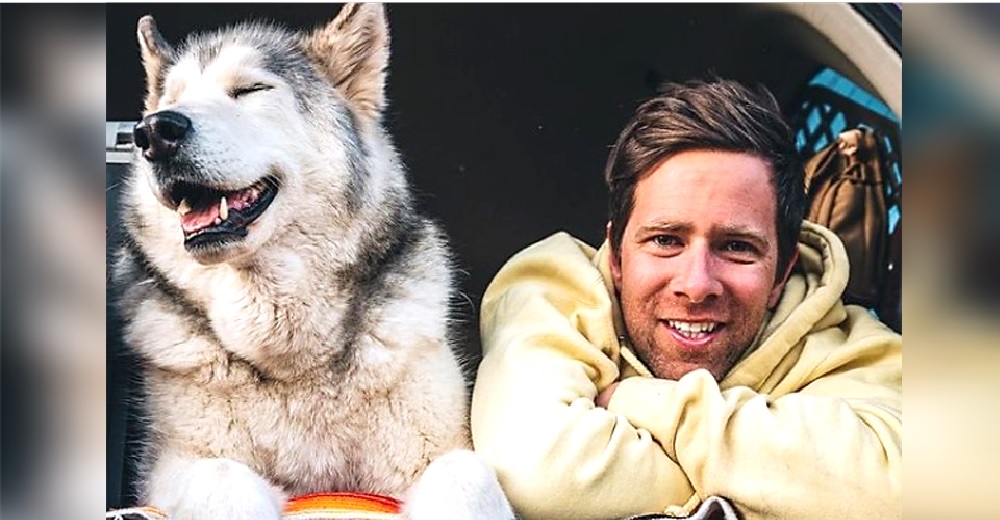 «Podemos tener una mejor relación con los perros» – Viaja a lugares recónditos con su mascota «Podemos tener una mejor relación con los perros» – Viaja a lugares recónditos con su mascota