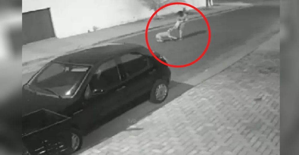 Arriesga su propia vida para salvar la de los 2 perros que se enfrentaban en la calle Arriesga su propia vida para salvar la de los 2 perros que se enfrentaban en la calle