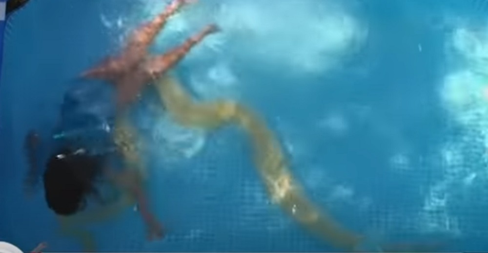Graban a una niña nadando en una pequeña piscina mientras una pitón de 3 metros la rodea