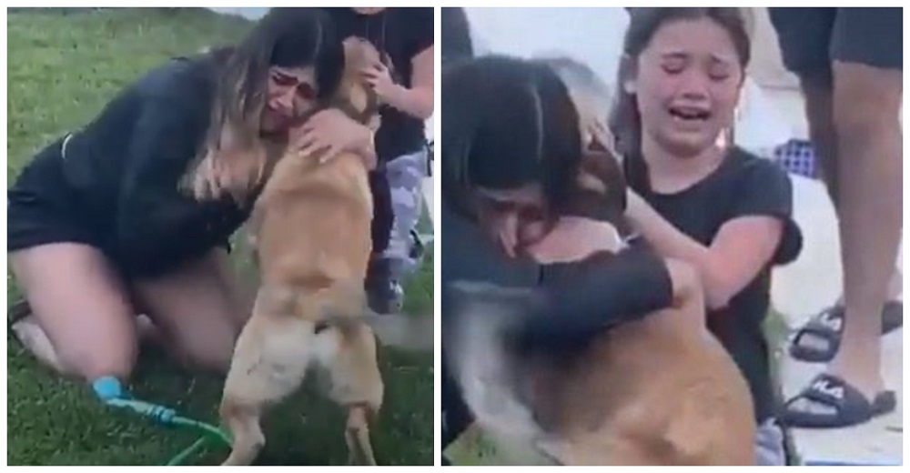 Niñas rompen en llanto cuando ven que su perrito desaparecido por fin está en casa