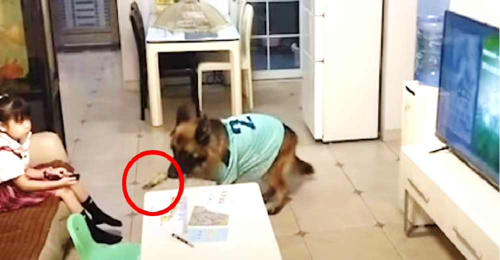 Corre hacia la niña para hacerle una urgente advertencia y ella entiende el mensaje de inmediato Corre hacia la niña para hacerle una urgente advertencia y ella entiende el mensaje de inmediato