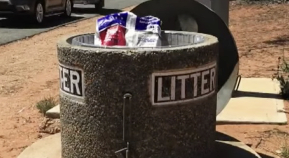 Tiran a la basura bolsas de comida para perros selladas, y adentro 8 crías luchaban por su vida Tiran a la basura bolsas de comida para perros selladas, y adentro 8 crías luchaban por su vida