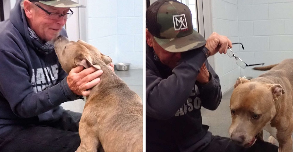 Un emocionado perrito no puede creer que su papá al fin lo encontró tras 6 meses desaparecido Un emocionado perrito no puede creer que su papá al fin lo encontró tras 6 meses desaparecido