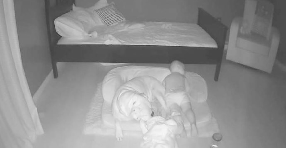 La cámara captura la cama del bebé vacía y después aparece el perro bóxer junto a él