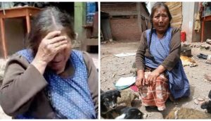 Abuelita llora por no tener cómo alimentar a los callejeritos que recoge, su hijo le robó todo