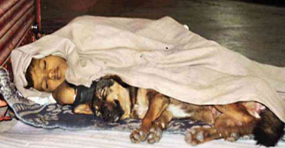 Niño desamparado que sobrevive solito en la calle con el calor de su perro, conmociona al mundo