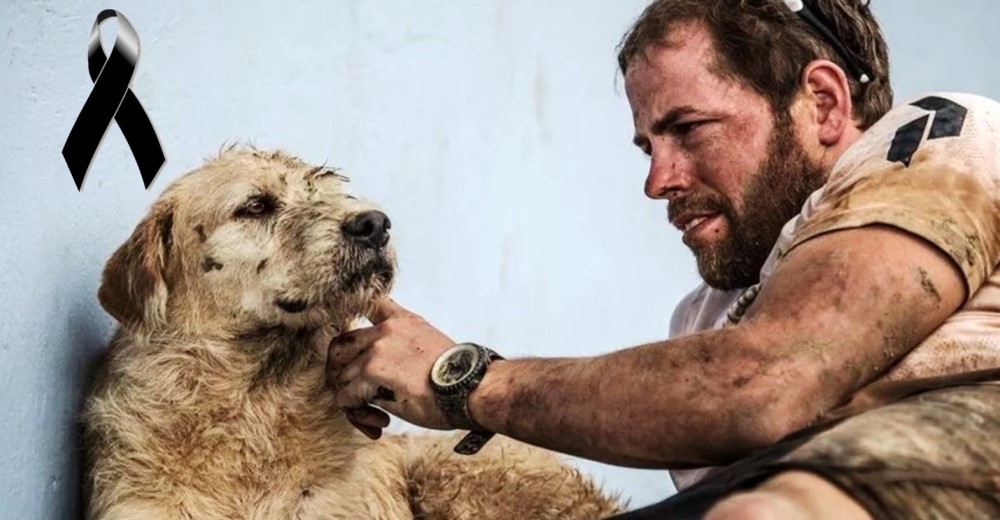 Atleta anuncia la muerte del perro callejero que cambió su vida – «Recordaré tu último beso» Atleta anuncia la muerte del perro callejero que cambió su vida – «Recordaré tu último beso»