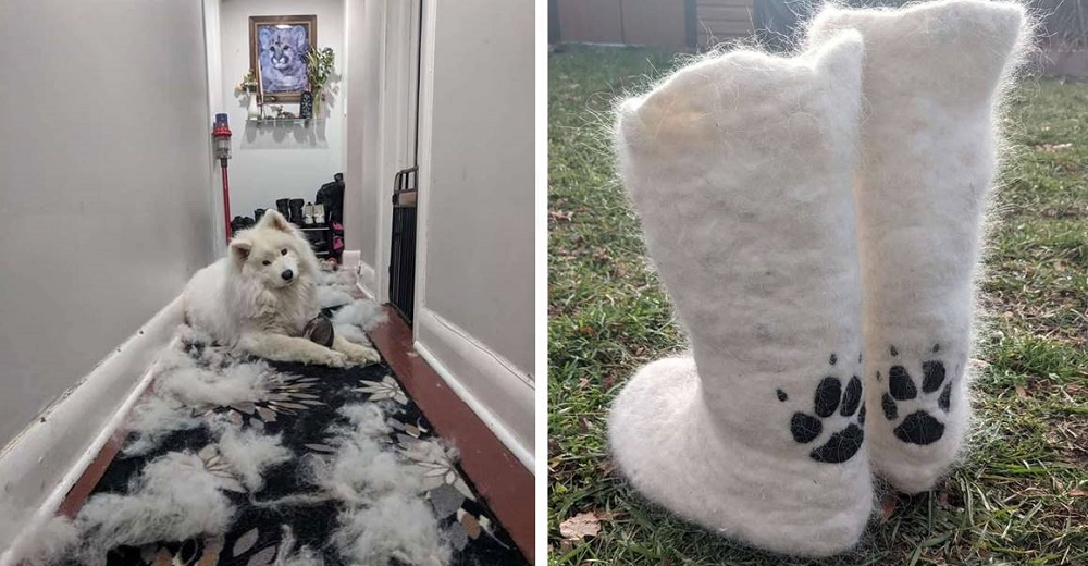 Guarda los pelos de su amada perrita para fabricar botas y otras prendas de vestir Guarda los pelos de su amada perrita para fabricar botas y otras prendas de vestir