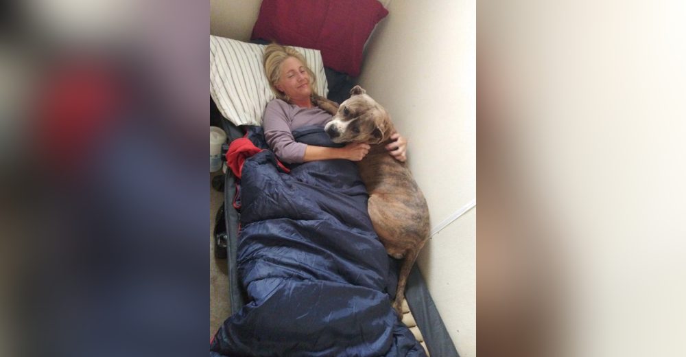 Duerme abrazada al perro que llora cada noche en el refugio porque no encuentra un hogar