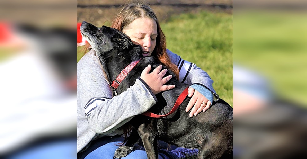 La reacción de una perrita al reconocer a su dueña con epilepsia tras 3 años perdida La reacción de una perrita al reconocer a su dueña con epilepsia tras 3 años perdida