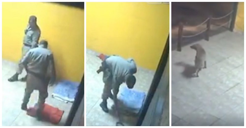Cámaras de seguridad graban la reacción de dos militares hacia una perrita hambrienta y mojada Cámaras de seguridad graban la reacción de dos militares hacia una perrita hambrienta y mojada
