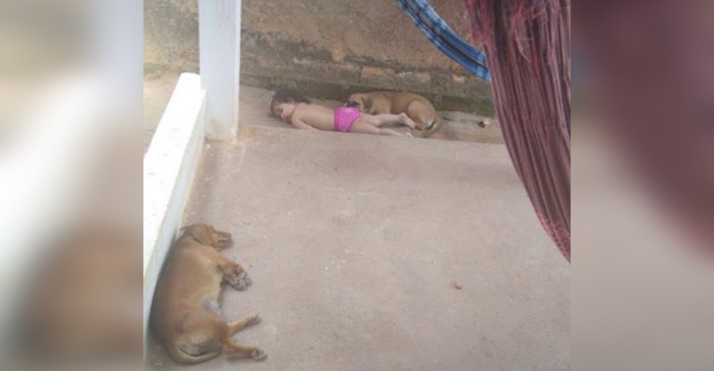Una madre encuentra a los perros y a su bebé «inmóviles» en el suelo Una madre encuentra a los perros y a su bebé «inmóviles» en el suelo