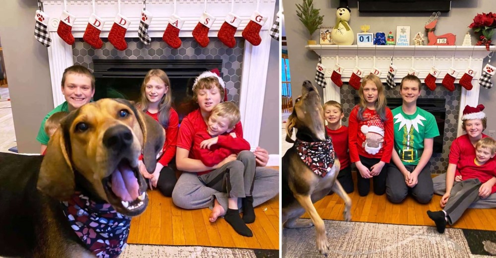 Decide vengarse de su familia frente a la cámara en la sesión de fotos navideña y se hace viral