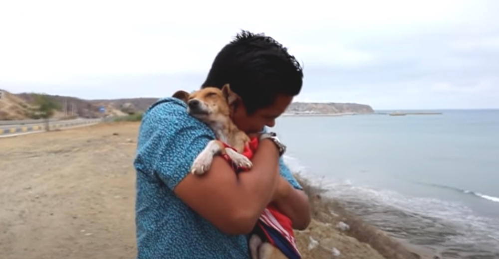 Le da un beso a la perrita que intentó salvar antes de que cerrara sus ojos para siempre