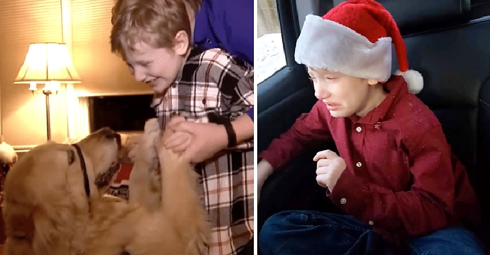 Papá Noel rompe el corazón de un niño rechazándolo por acercarse con su perrita de servicio