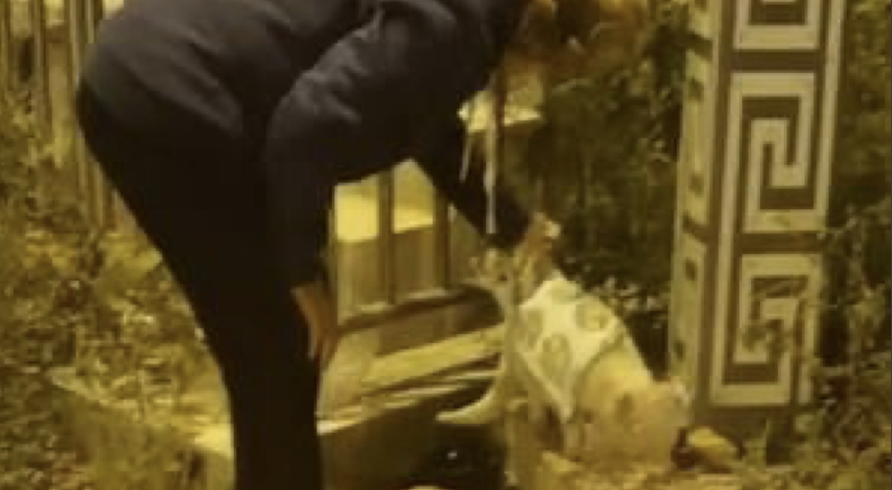 Graban a la mujer que se agachó junto a un gato callejero mientras sostenía una gran tela Graban a la mujer que se agachó junto a un gato callejero mientras sostenía una gran tela