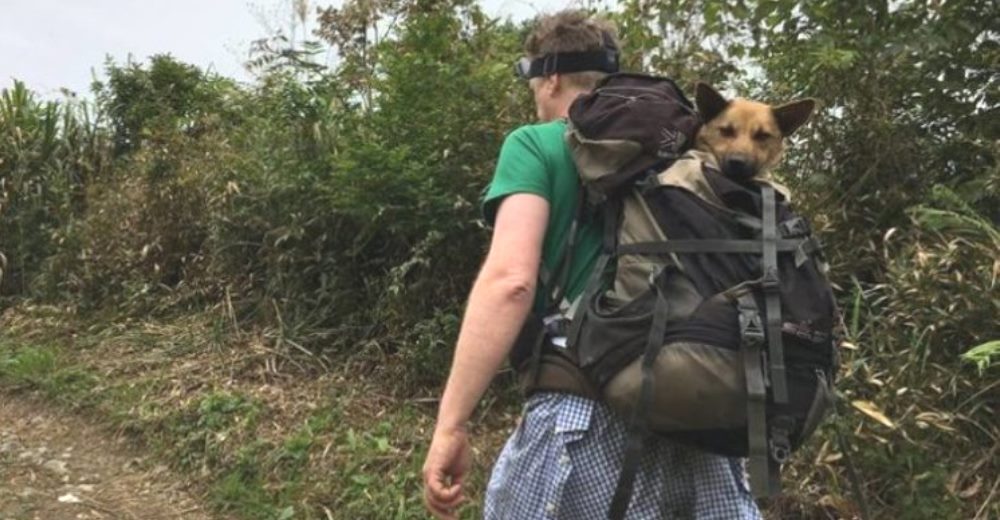 Camina más de 12 horas con un perrito herido en el interior de su mochila