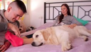 Su perro reacciona de inmediato para protegerla de su propio esposo en la cama