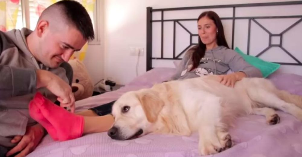 Su perro reacciona de inmediato para protegerla de su propio esposo en la cama