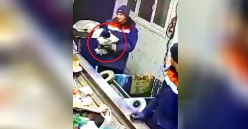 Hallan a un gatito dentro de una bolsa a punto de caer en la máquina trituradora de basura