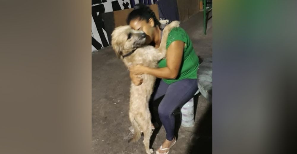Pierde su empleo y la vida la pone a elegir entre sus mascotas o tener un techo donde vivir Pierde su empleo y la vida la pone a elegir entre sus mascotas o tener un techo donde vivir