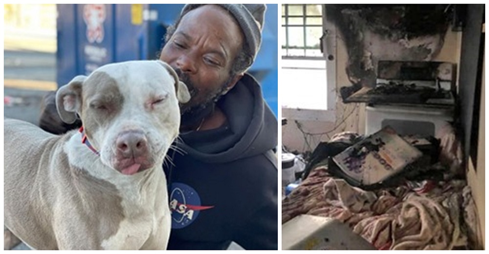 Hombre sin hogar arriesga su vida para salvar a todos los animalitos de un refugio en llamas Hombre sin hogar arriesga su vida para salvar a todos los animalitos de un refugio en llamas