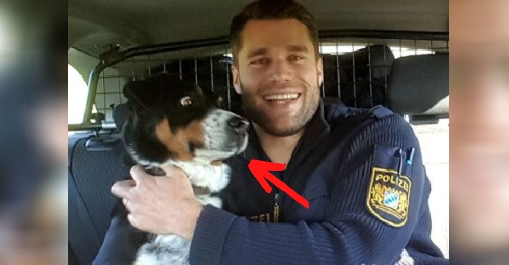 Un perro que se escapó de casa se vuelve viral por su reacción al ser arrestado por la Policía Un perro que se escapó de casa se vuelve viral por su reacción al ser arrestado por la Policía