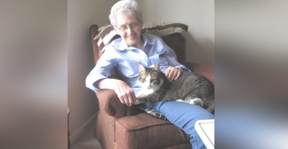 Una abuela y su gata eran tan inseparables que partieron juntas al cielo Una abuela y su gata eran tan inseparables que partieron juntas al cielo