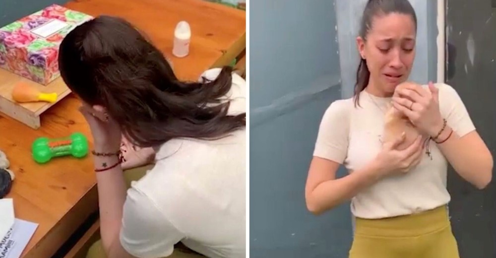 Tras la muerte de su perro rompe a llorar con el gesto de su amigo para aliviar su dolor Tras la muerte de su perro rompe a llorar con el gesto de su amigo para aliviar su dolor